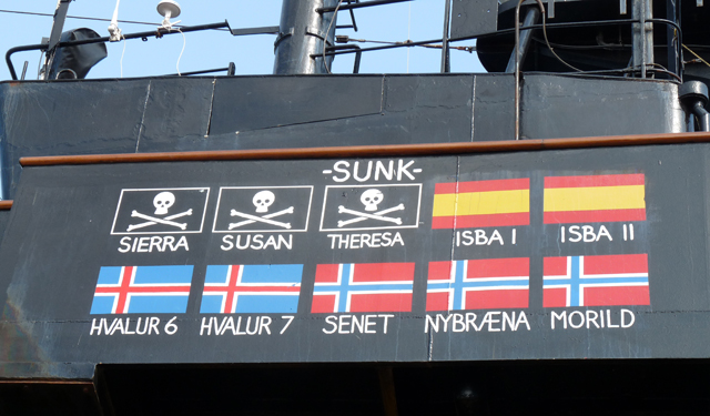 MY_Steve_Irwin_2_640