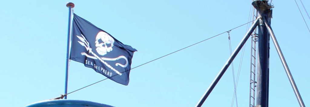 La Armada de&nbsp;Neptuno