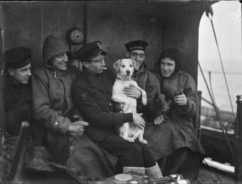 Pluto - HMS Cossack - IWM