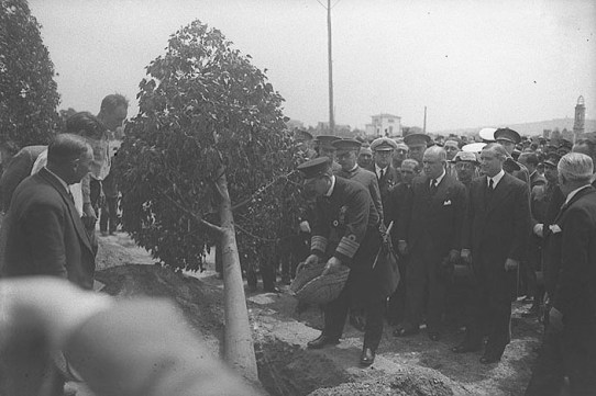 Calle Tokio Matsushita