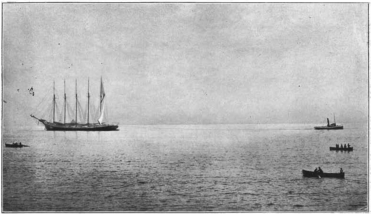 Dorothy Palmer MJOP 1916-17