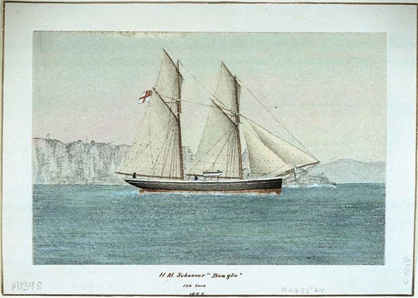 HMS Beagle 1872 - RMG