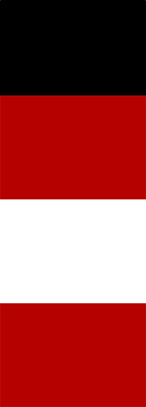 Austro Americana Chimenea