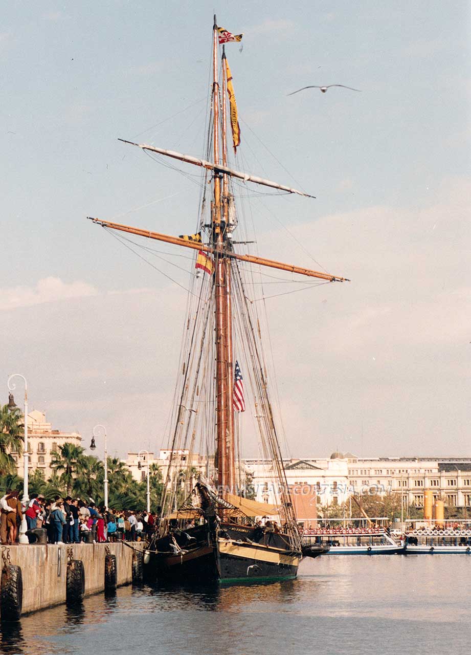 Pride2 01 - 1996 - ACC