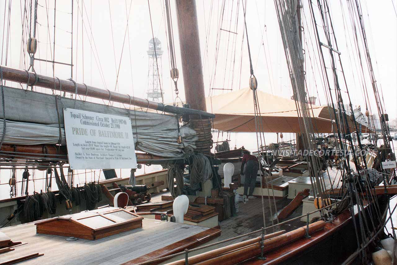 Pride2 02 - 1996 - ACC