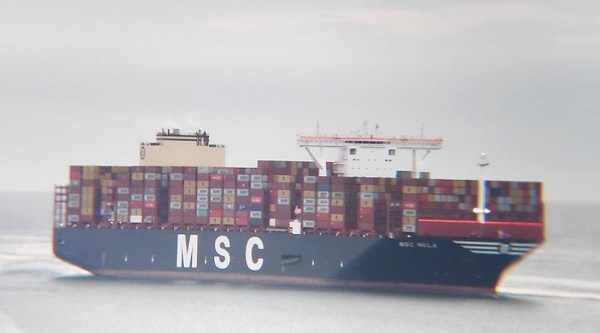 MSC Nela - 16-11-2021 - FJL