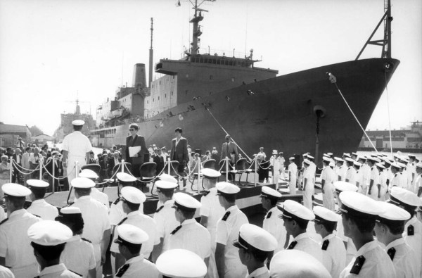 Golden Bear III - NVS