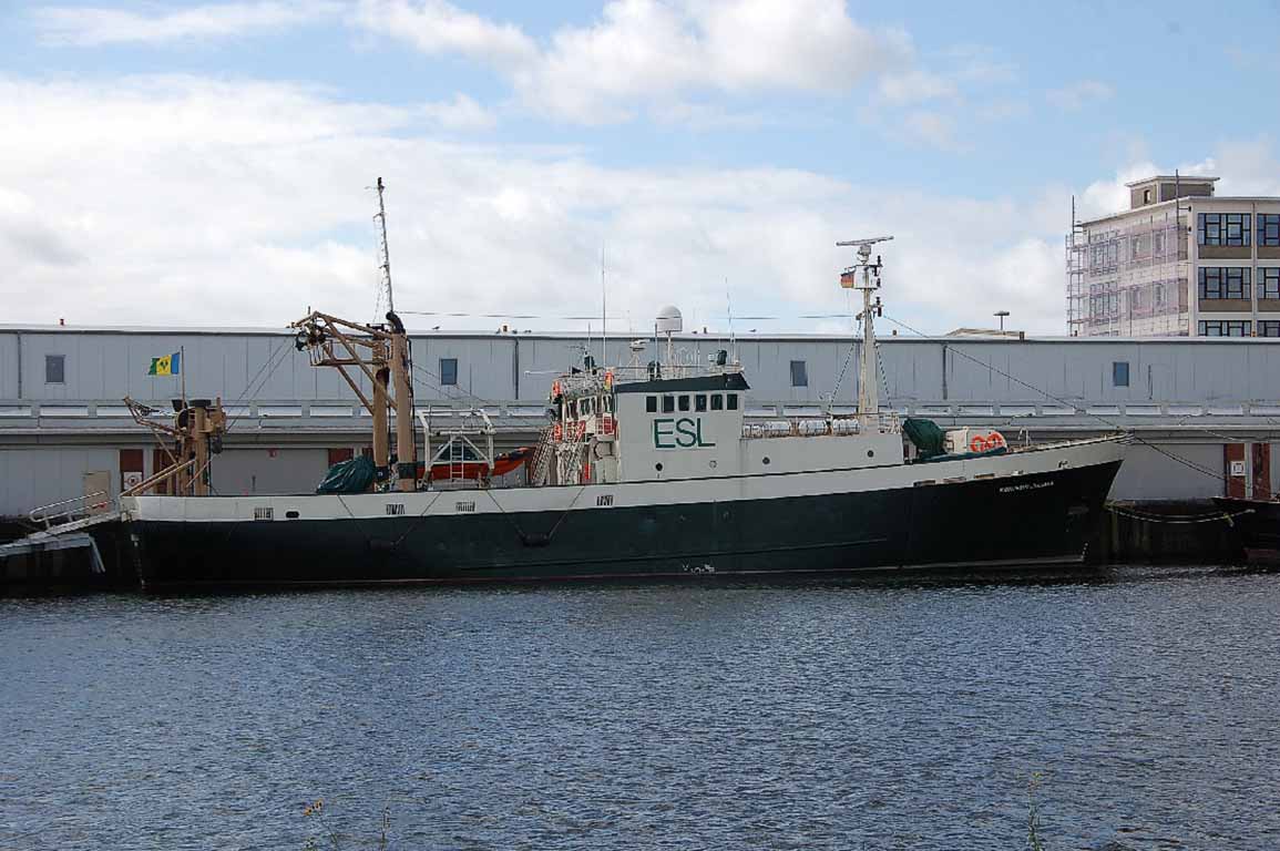 Bilder für Wikipedia