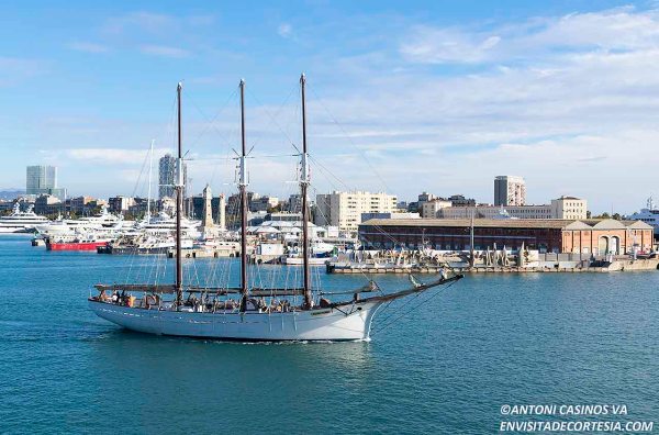 Pascual Flores 02 - 19-11-2022 - ACV